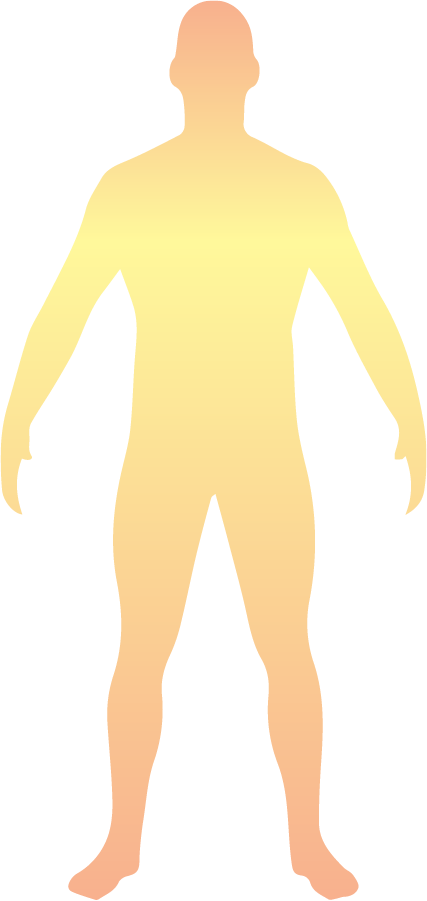 Human Body 